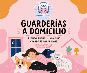 Guarderías a domicilio — cuidado de mascotas (WhatsApp)